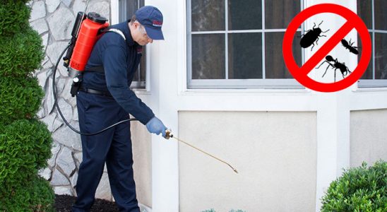 Kartepe Dezenfeksiyon böcek ilaçlama ve haşere kontrolü — ilaclama-tr.com